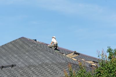 Expert Roofing Technician