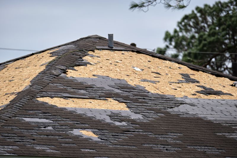 Timely Roof Repairs